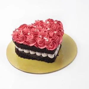 Chocolate Mousse Cake